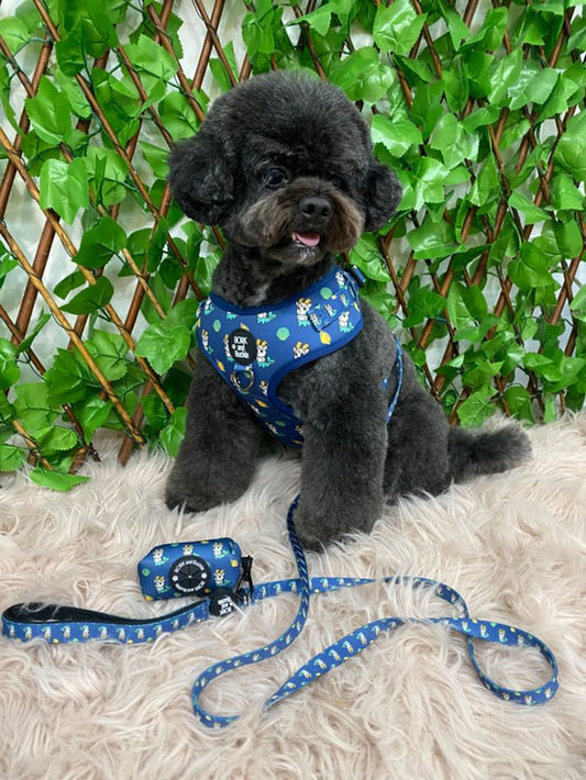 Capricorn Leash - Deep Sea