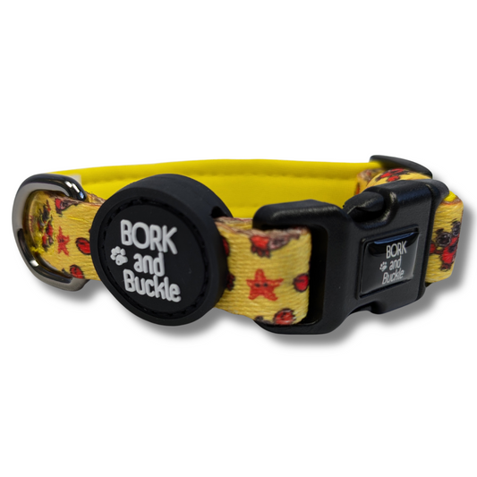 Cancer Collar - Starfish Splash