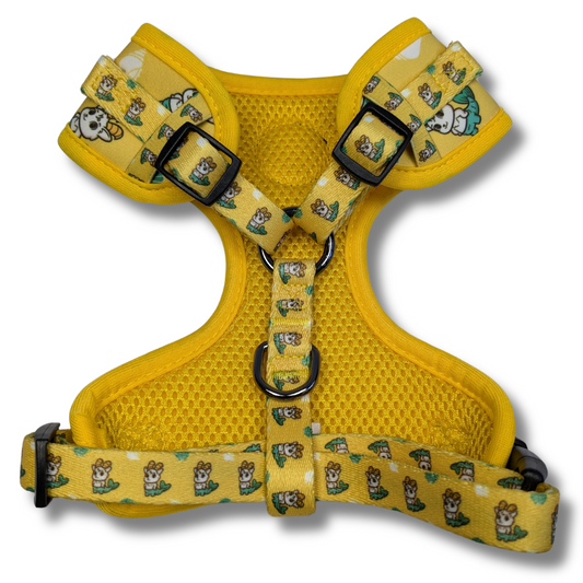 Capricorn Harness - Sunshine Summit