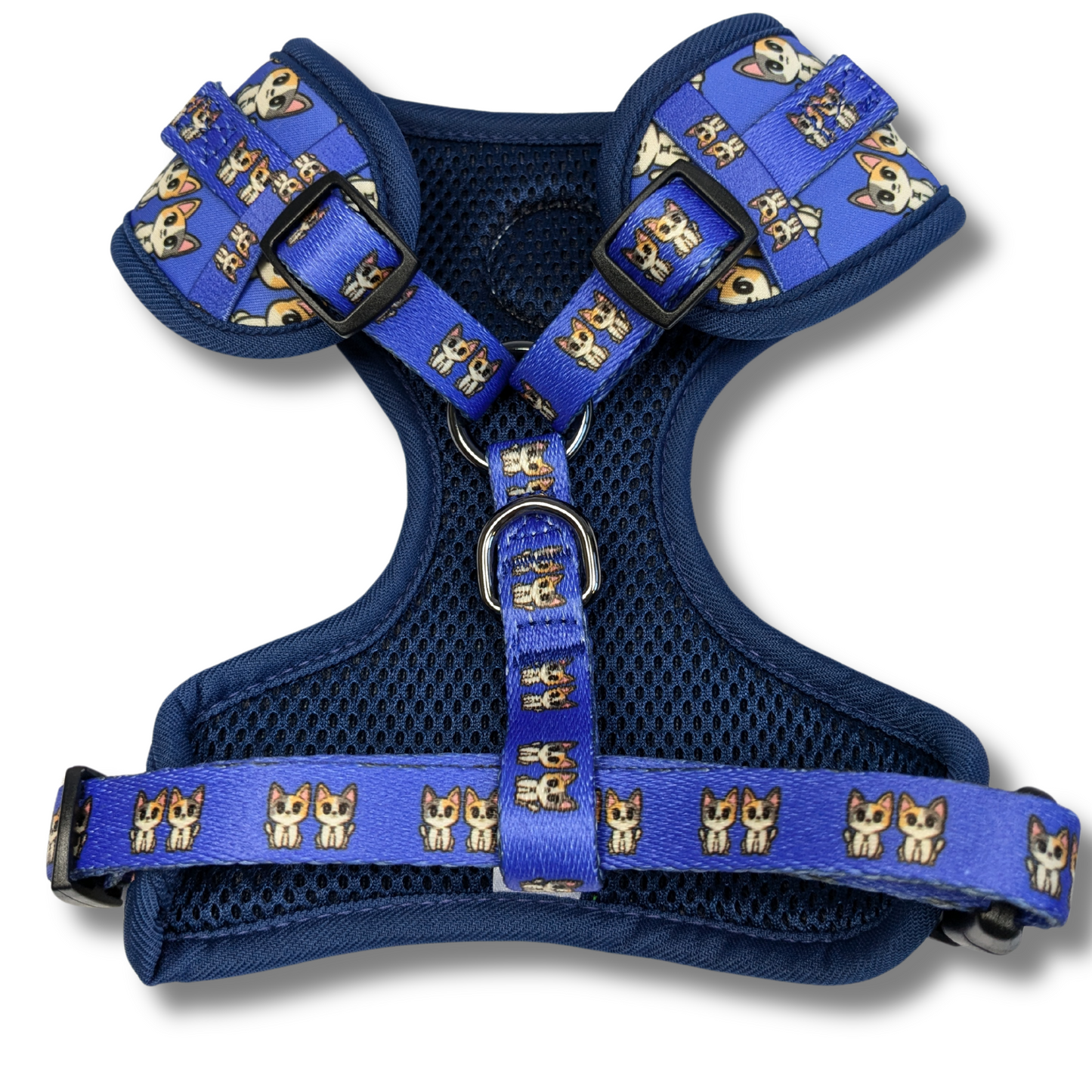 Gemini Harness - Galaxy