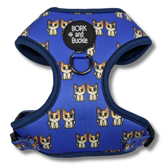 Gemini Harness - Galaxy