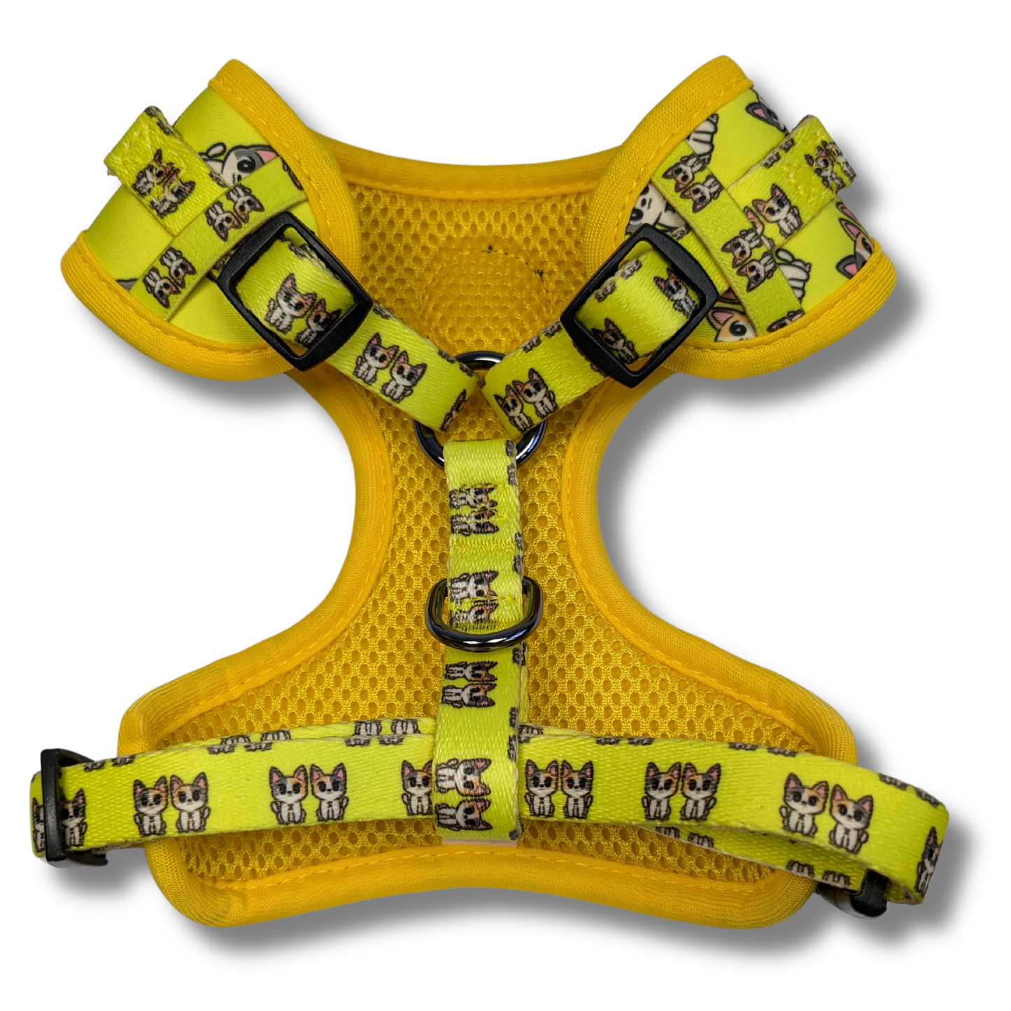Gemini Harness - Sunshine Spritz