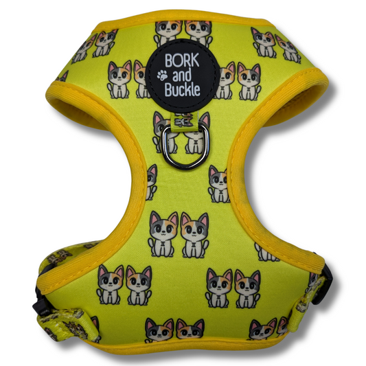 Gemini Harness - Sunshine Spritz