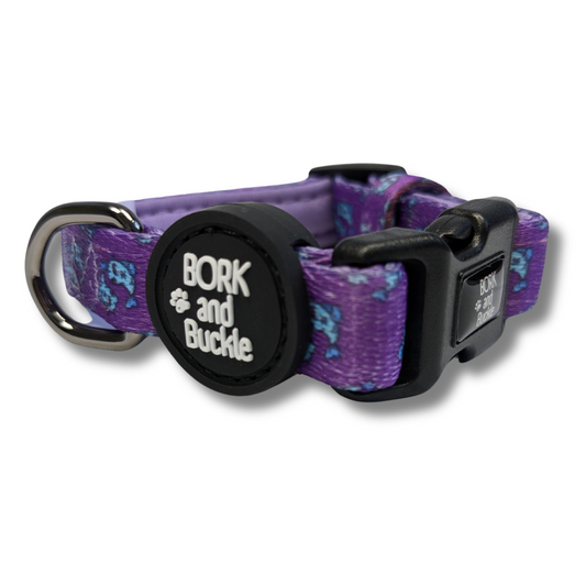 Pisces Collar - Nebula Night