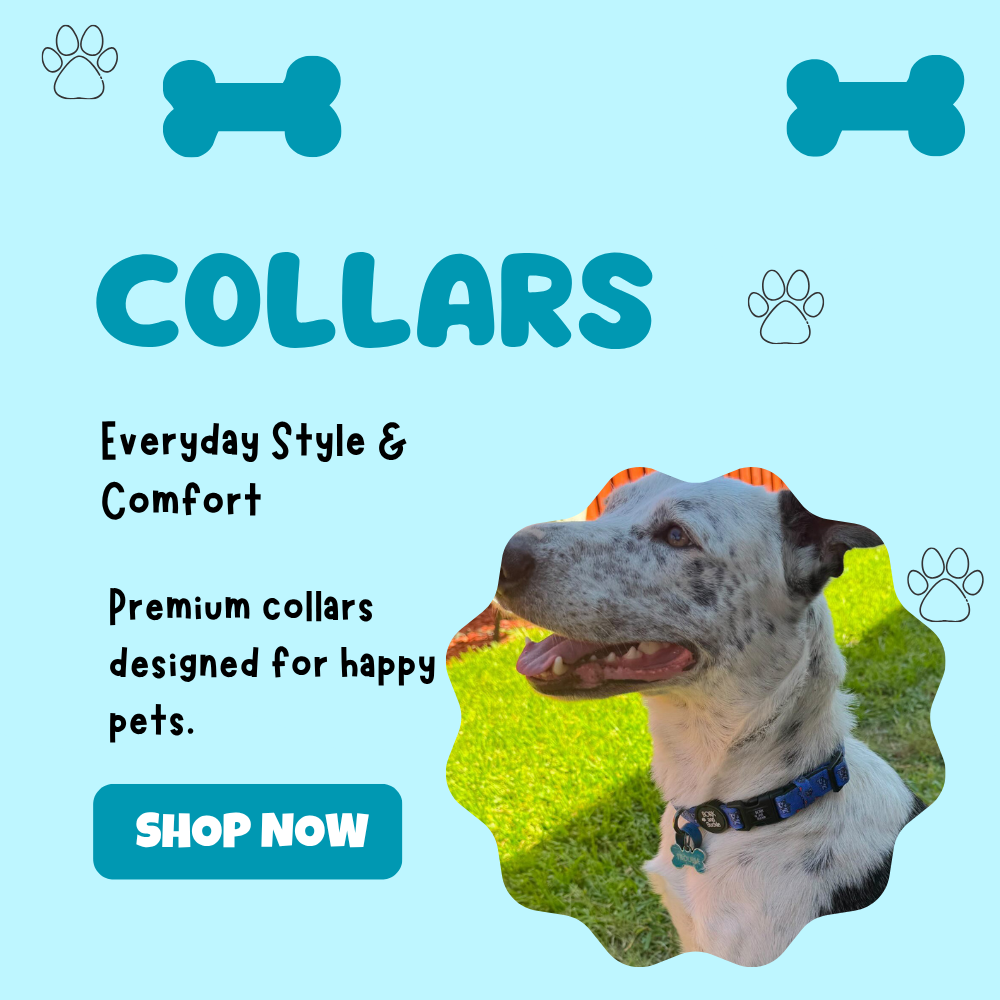 Collars