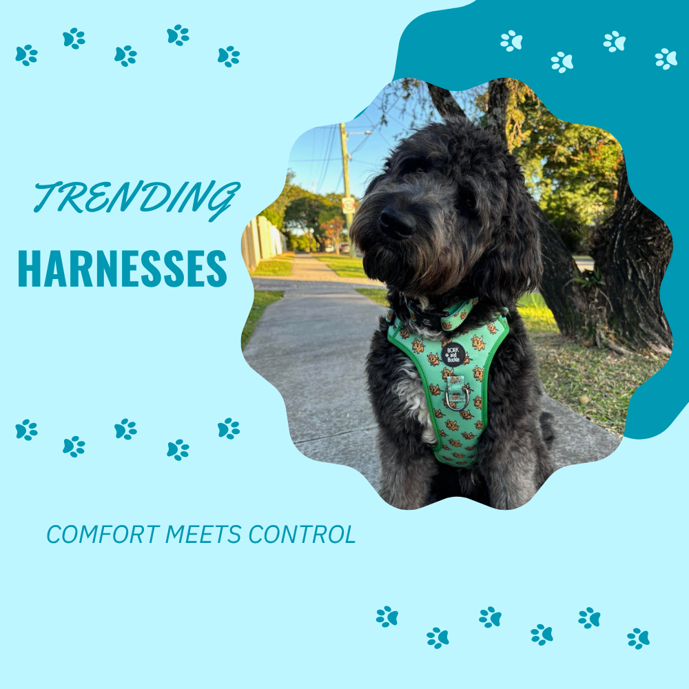 Harnesses